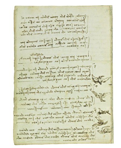 Codex sur le vol des oiseaux, Folio 7 verso - Leonardo da Vinci